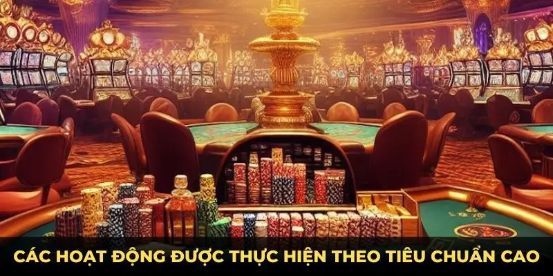 Các hoạt động được thực hiện theo tiêu chuẩn cao