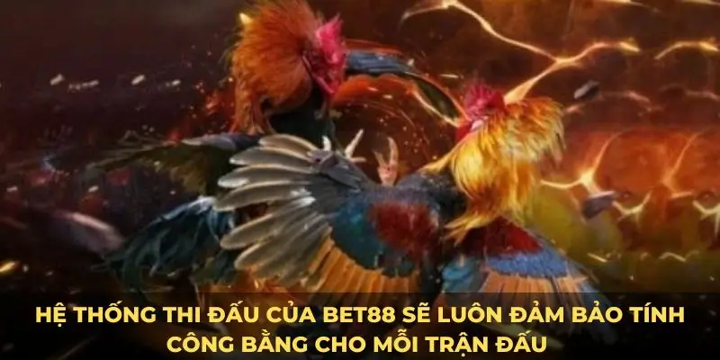 Hệ thống thi đấu của Bet88 sẽ luôn đảm bảo tính công bằng cho mỗi trận đấu